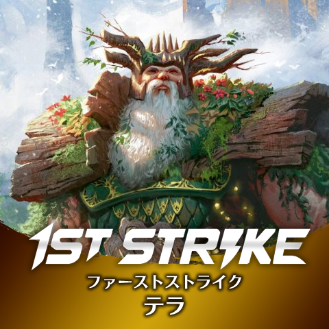 ファーストストライク：テラ